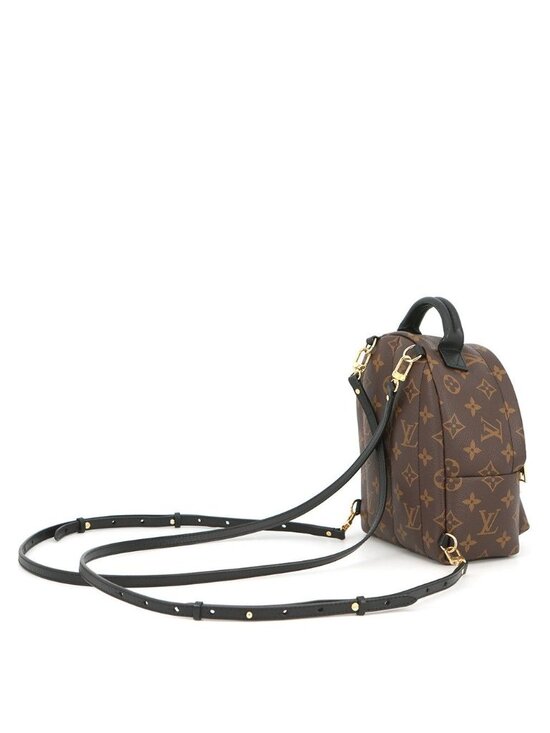 Louis Vuitton Backpack Monogram Palm Springs Mini main image 6
